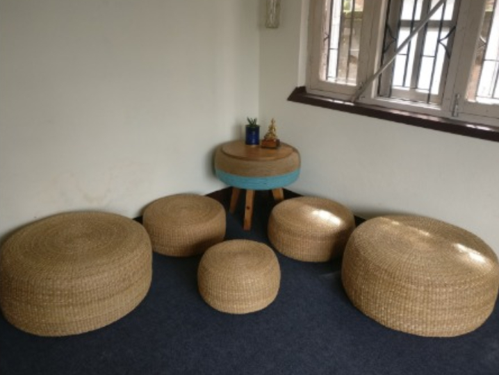 ग्रिन एन्टरप्राइज सम्भावना धेरै नै राम्रो देख्छु : ओजस्वी